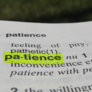 Dictionary page with the word patience highlighted