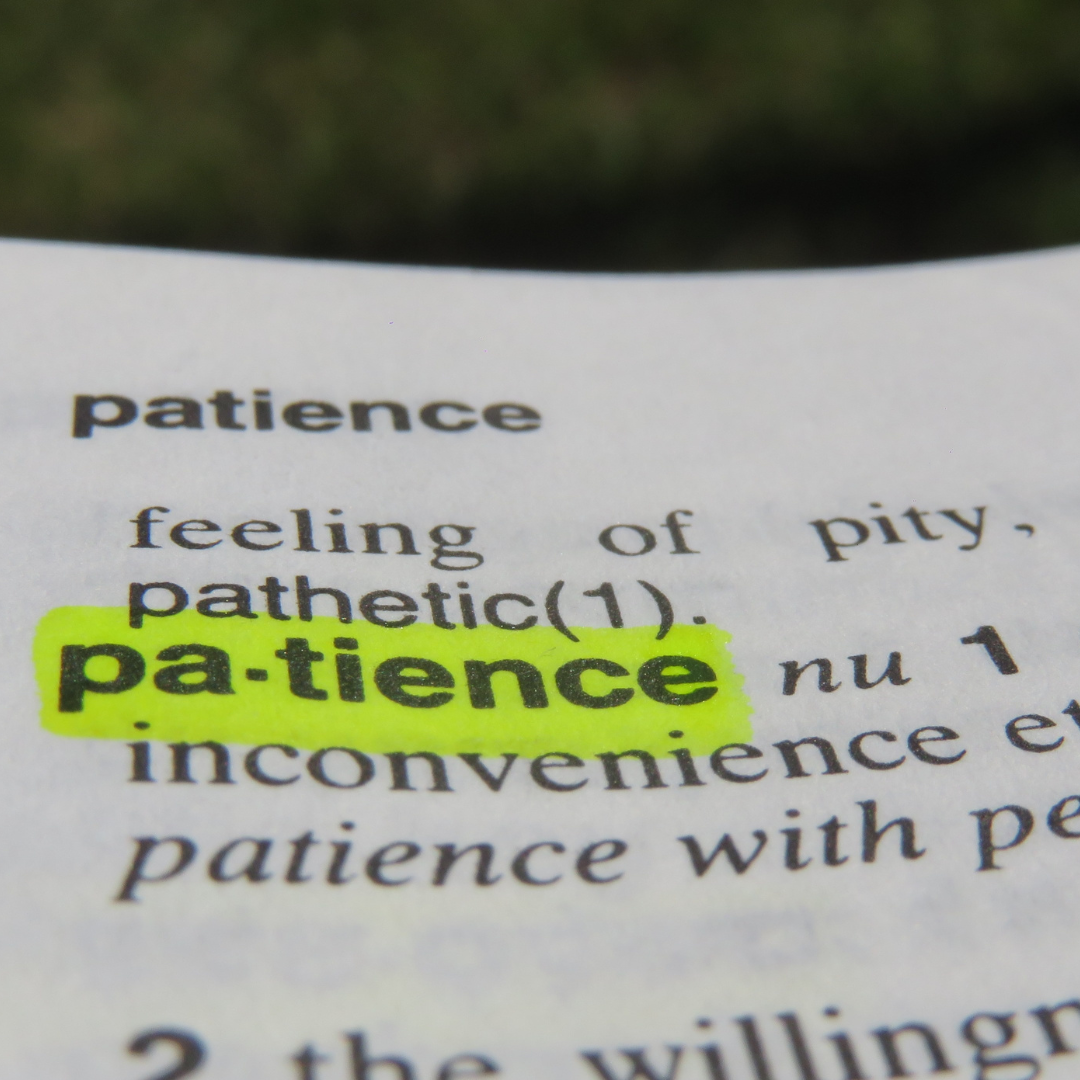 Dictionary page with the word patience highlighted